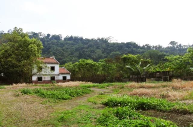 南投鹿谷農地_山坡地-4