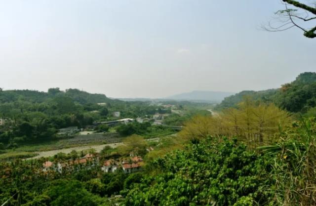 南投鹿谷農地_山坡地-6