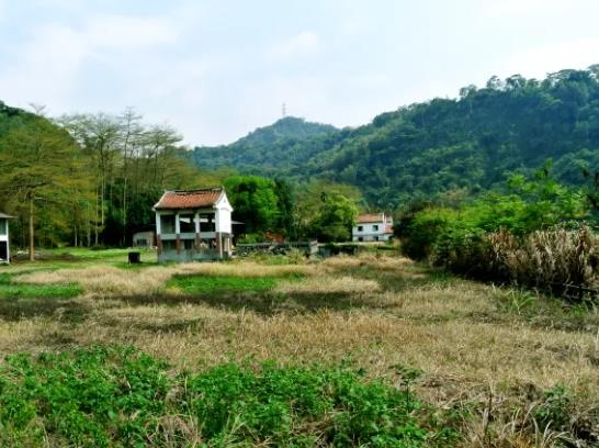 南投鹿谷農地_山坡地-7