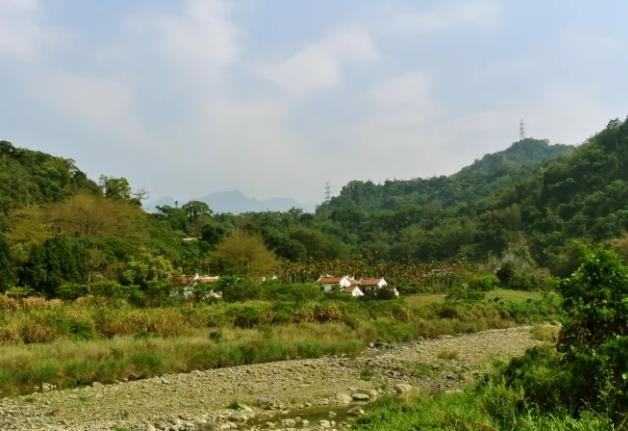 南投鹿谷農地_山坡地-8