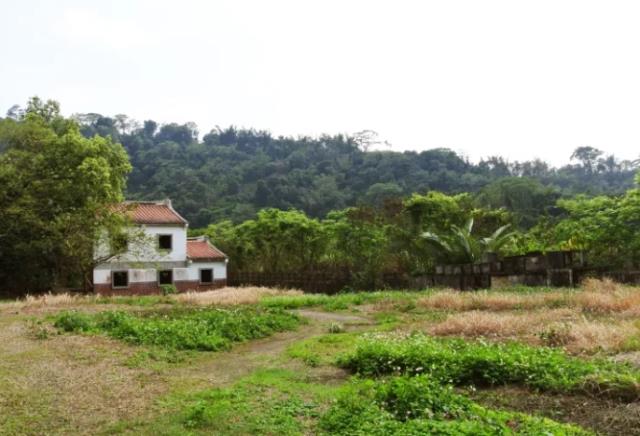 南投鹿谷農地_山坡地-9