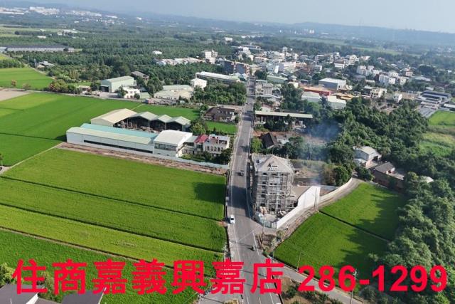 大林農地-10