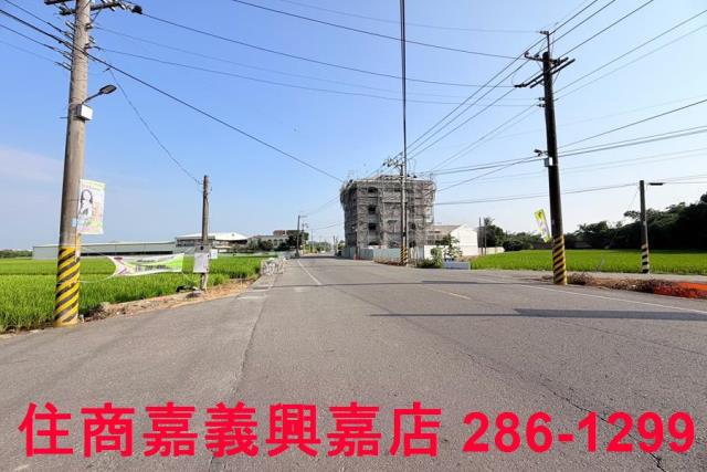 大林農地-2