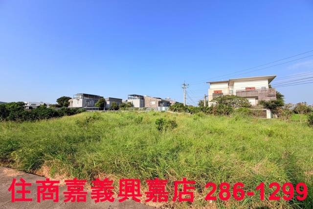 大林農地-5