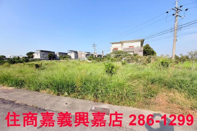 大林農地-6