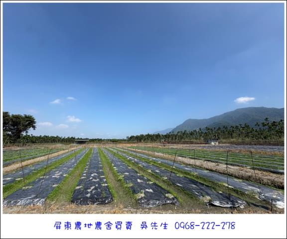 高樹農地-2