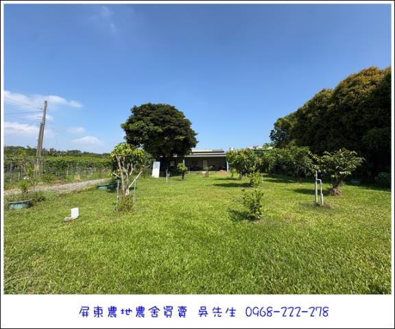 高樹農地-4