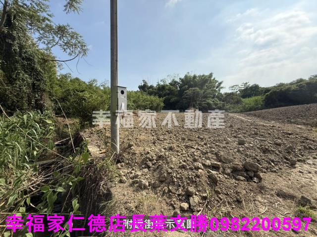 關廟農地-12