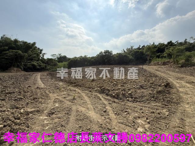 關廟農地-14