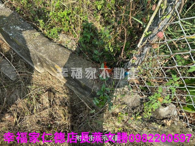 歸仁特定目的事業用地-8