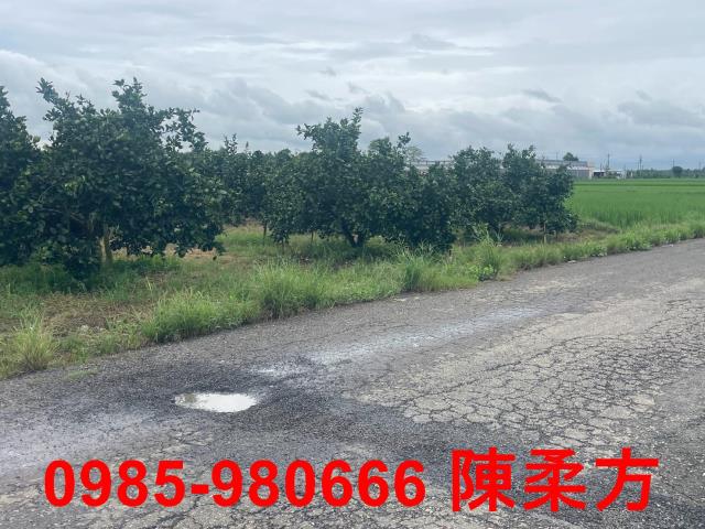 大林農地-3