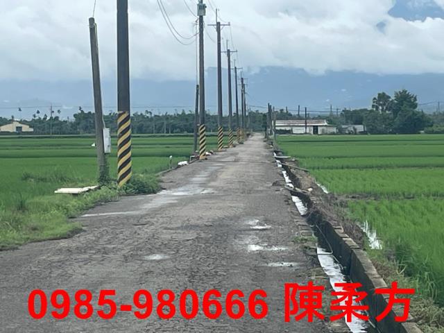 大林農地-4