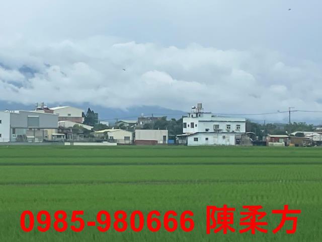 大林農地-5