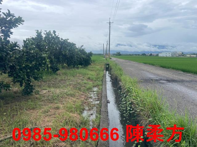 大林農地-6