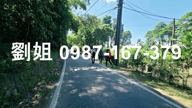 旗山農地-3