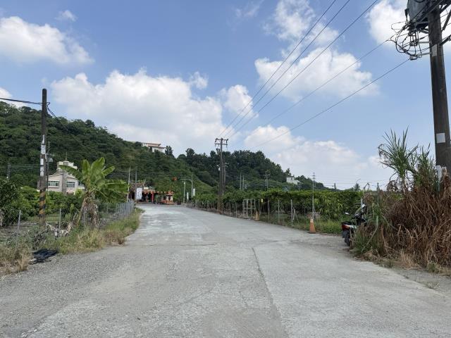 大樹農地-12