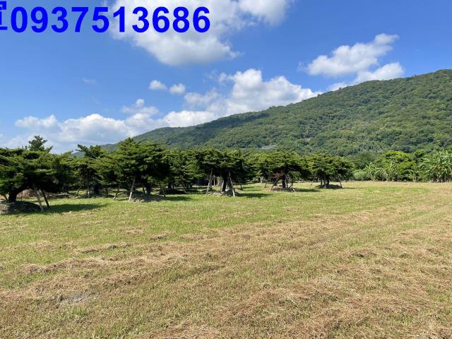 頭城農地-7