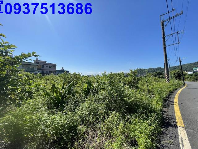 宜蘭農地-9