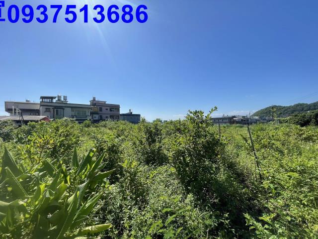 宜蘭農地-11