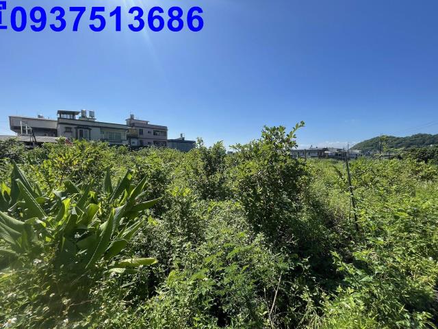 宜蘭農地-12