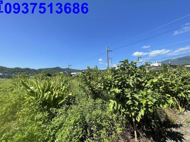 宜蘭農地-1