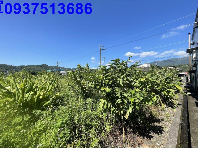 宜蘭農地-2