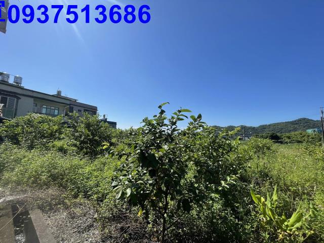 宜蘭農地-3