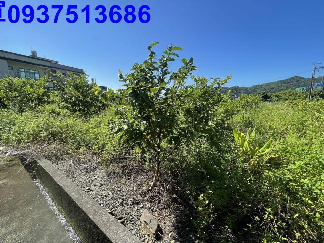 宜蘭農地-4