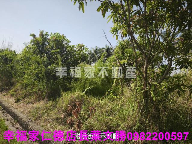 台南農地-15