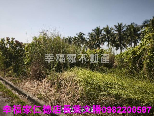 台南農地-2