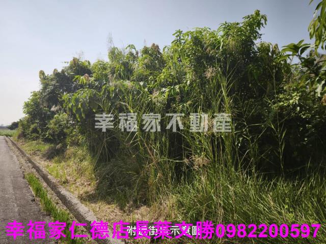 台南農地-5