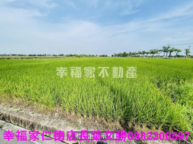 台南柳營農地-15