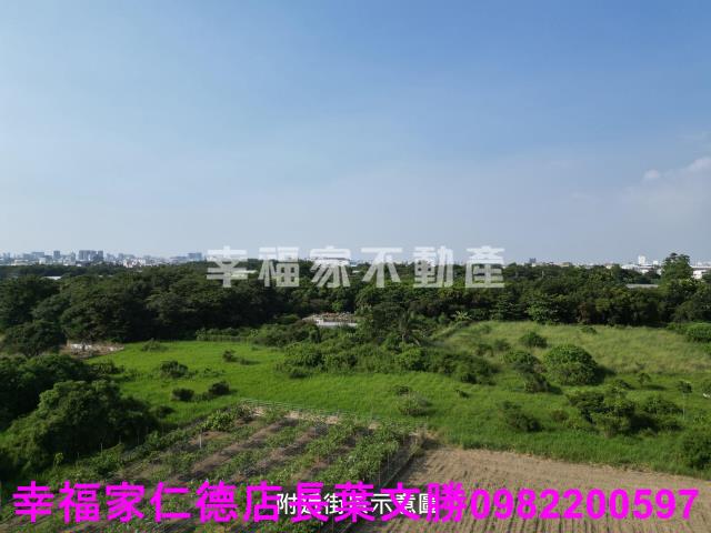 台南仁德農地-13