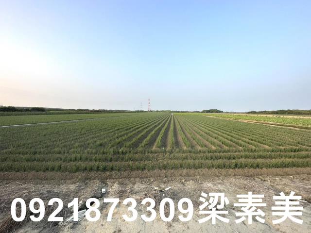 台南安南農地-1