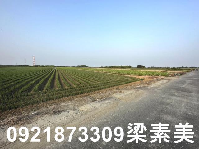 台南安南農地-3