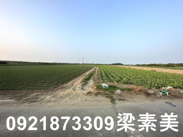 台南安南農地-4