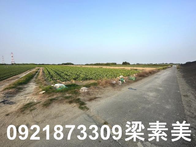 台南安南農地-5