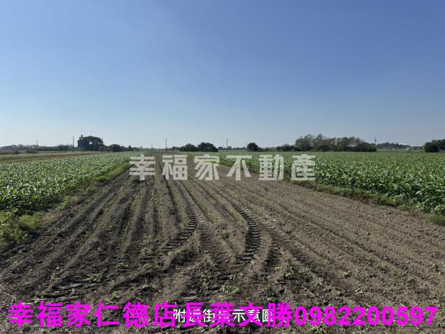 佳里農地-6