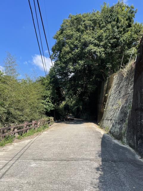 東勢農地-7
