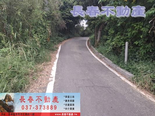 頭份農地-3