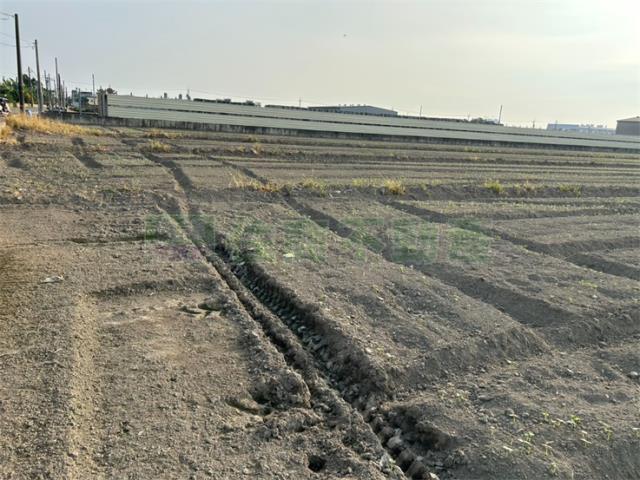 高雄農地-3