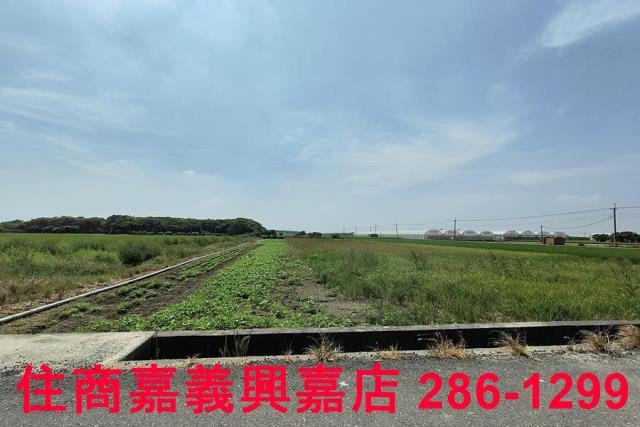 太保農地-3