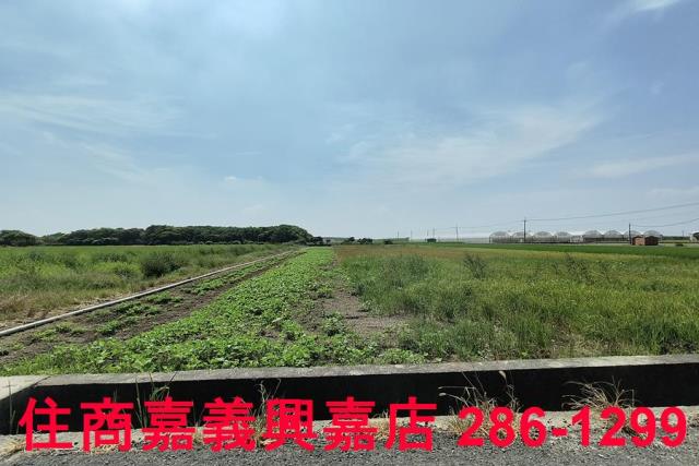 太保農地-4