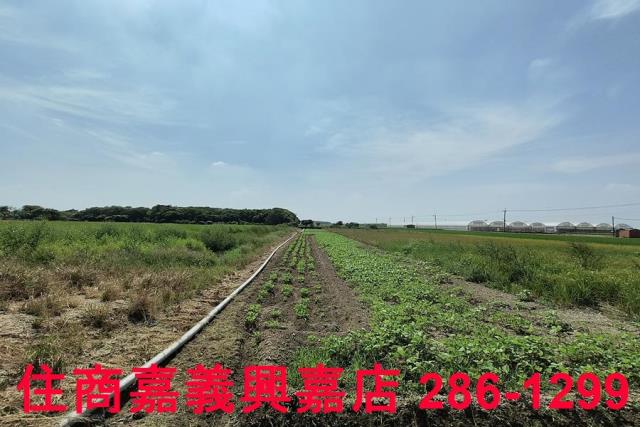 太保農地-5