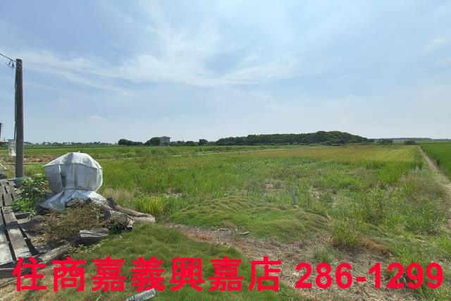 太保農地-7