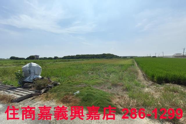 太保農地-8