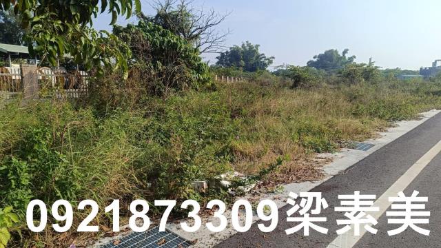 仁德工業地-3