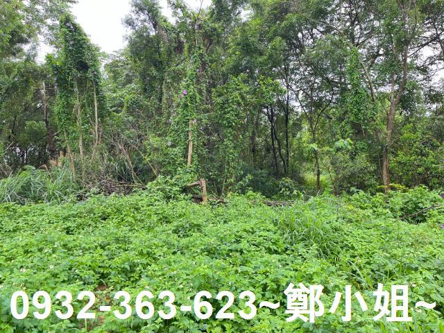龍潭農地-6