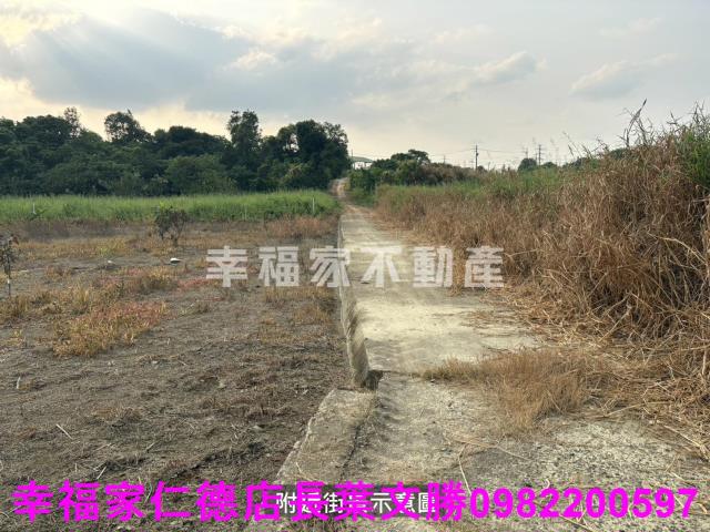 新市農地-10
