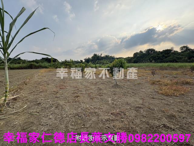 新市農地-11